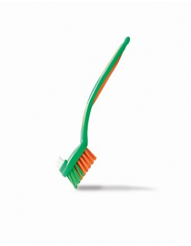 My Brush Green & Orange Stanhome