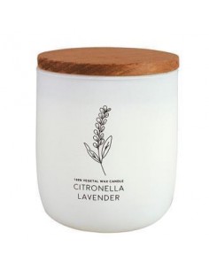 Vela Citronela lavanda 1ud...